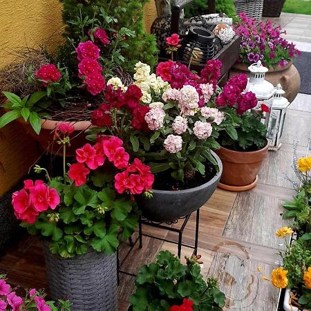 Ubytovanie Dana Piest'any Ngoại thất bức ảnh